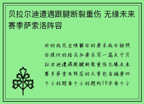 贝拉尔迪遭遇跟腱断裂重伤 无缘未来赛季萨索洛阵容